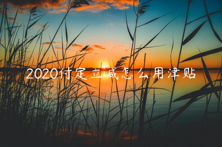 2020付定立減怎么用津貼